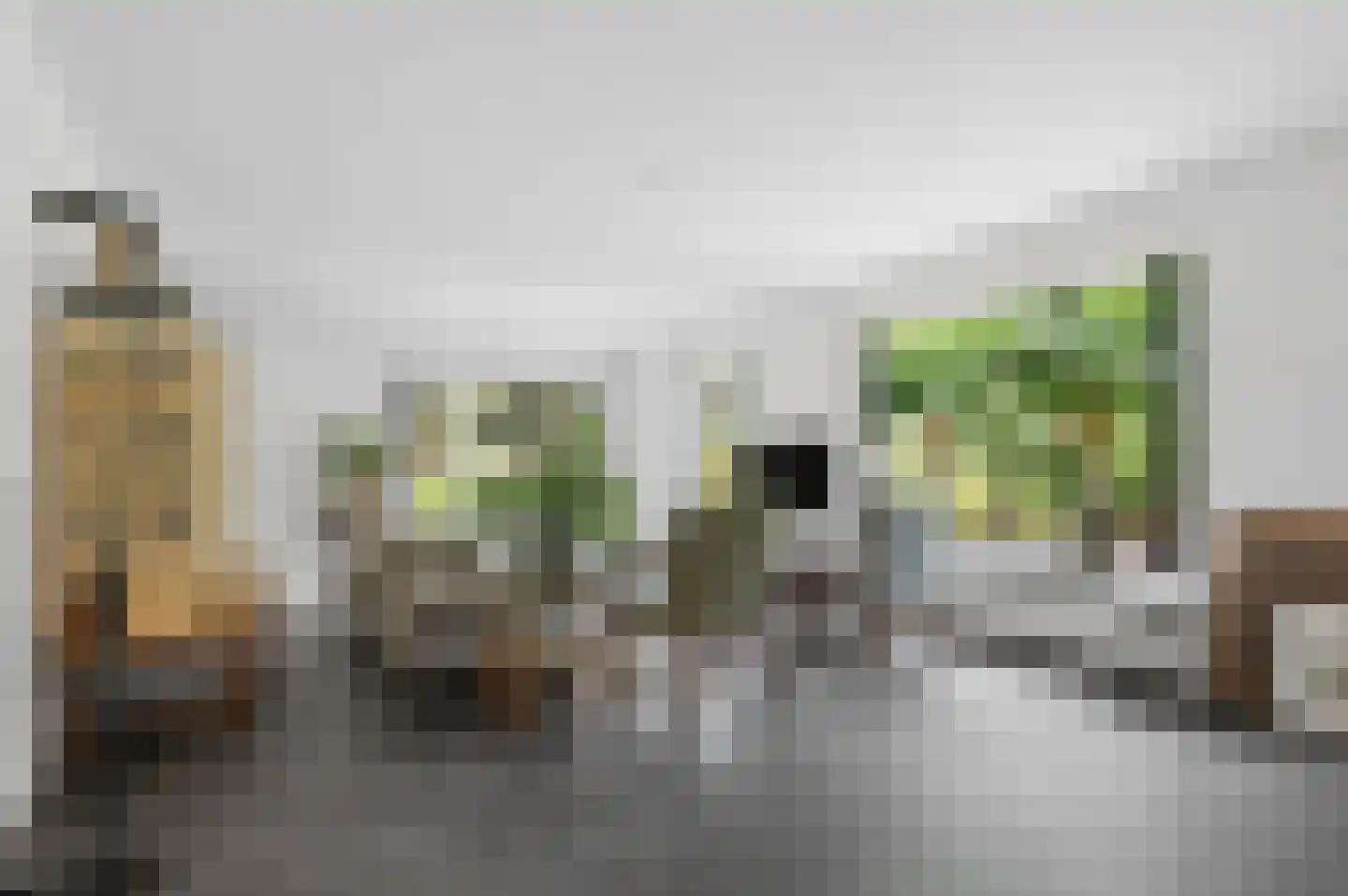 Laarweg 66 Harskamp thumbnail 8