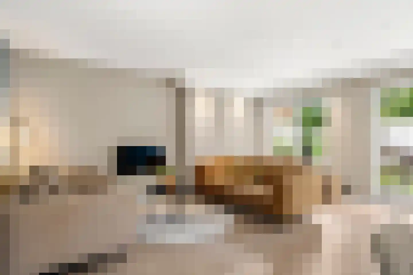 Laarweg 7 Bennekom thumbnail 13