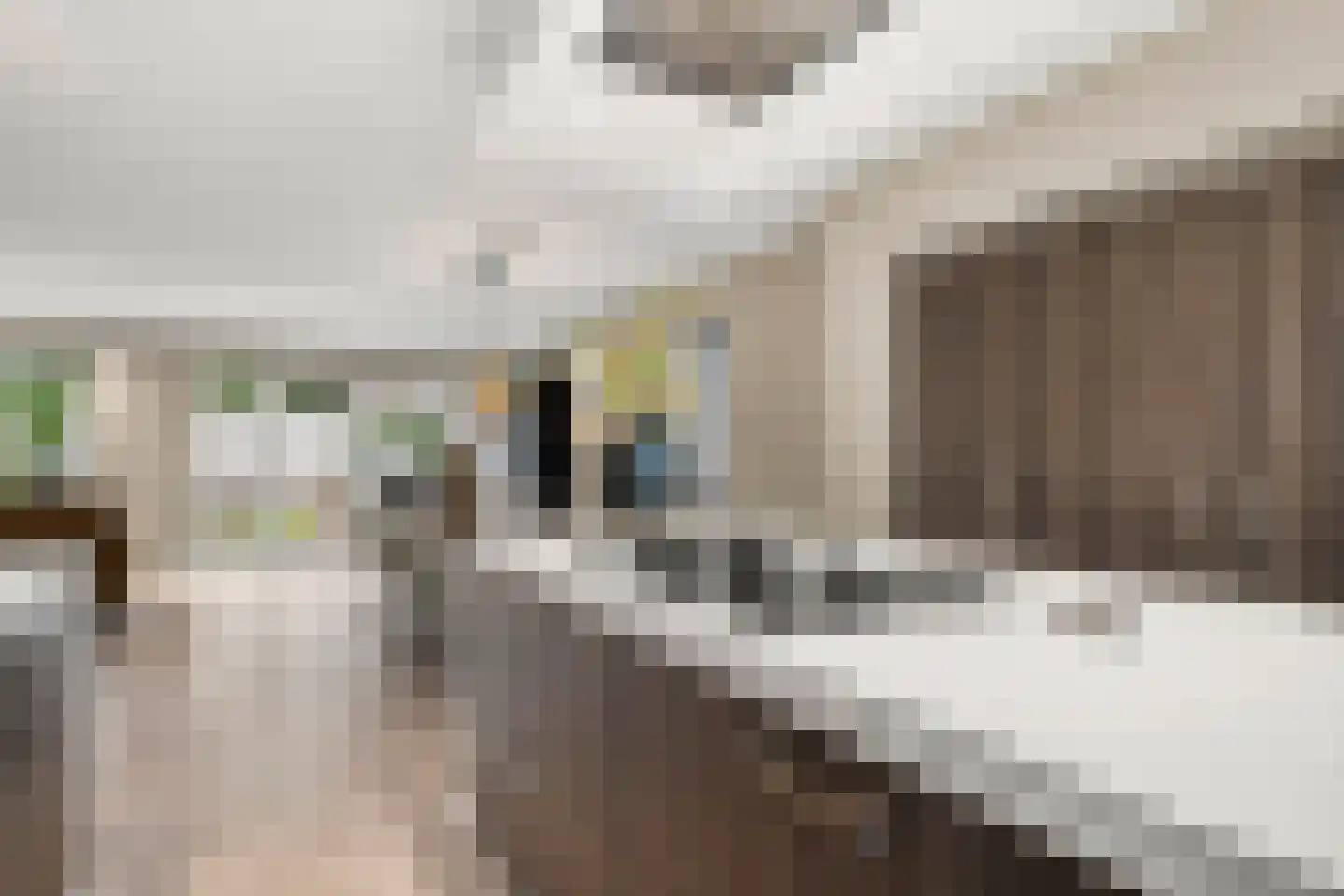 Laarweg 7 Bennekom thumbnail 15