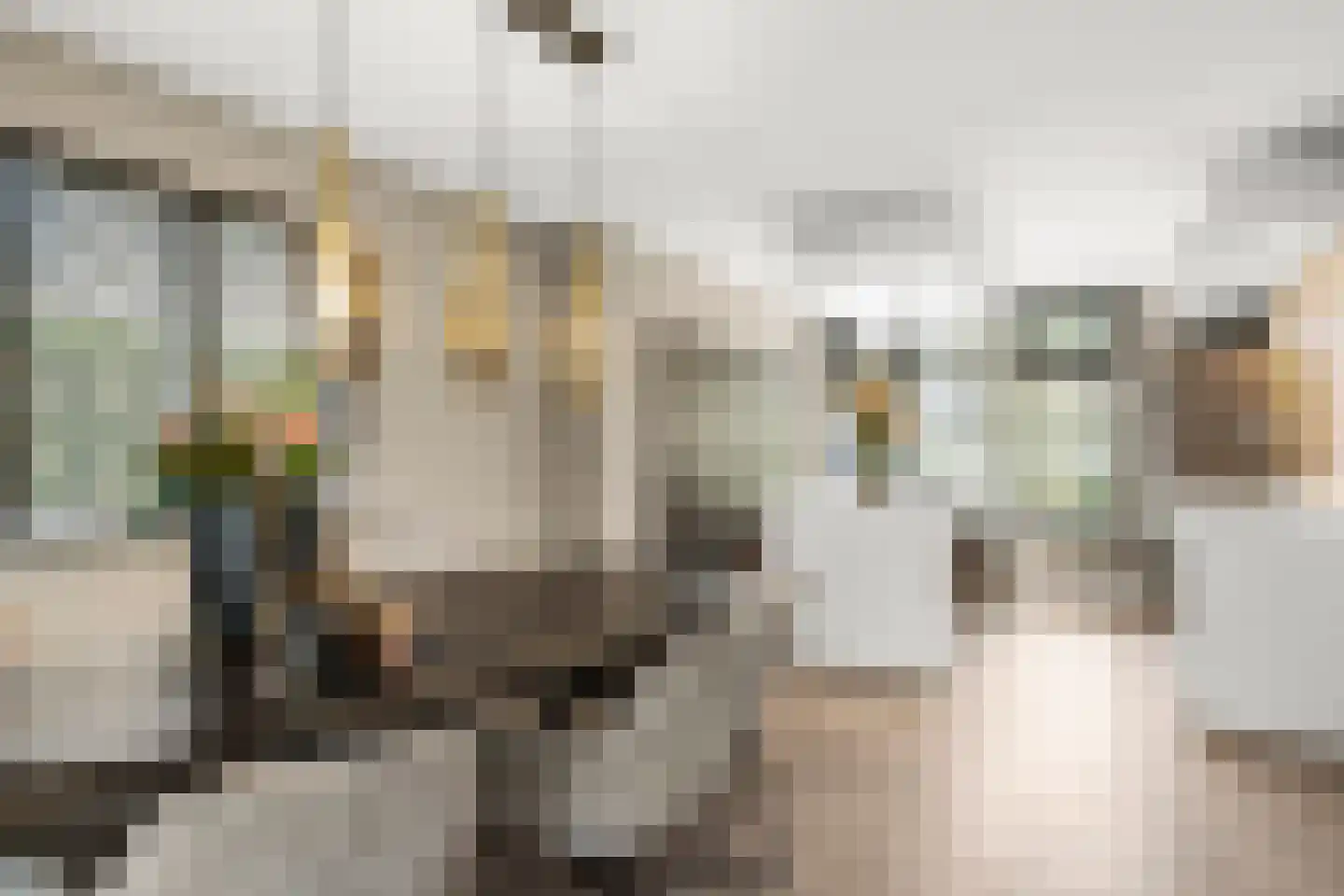 Laarweg 7 Bennekom thumbnail 17