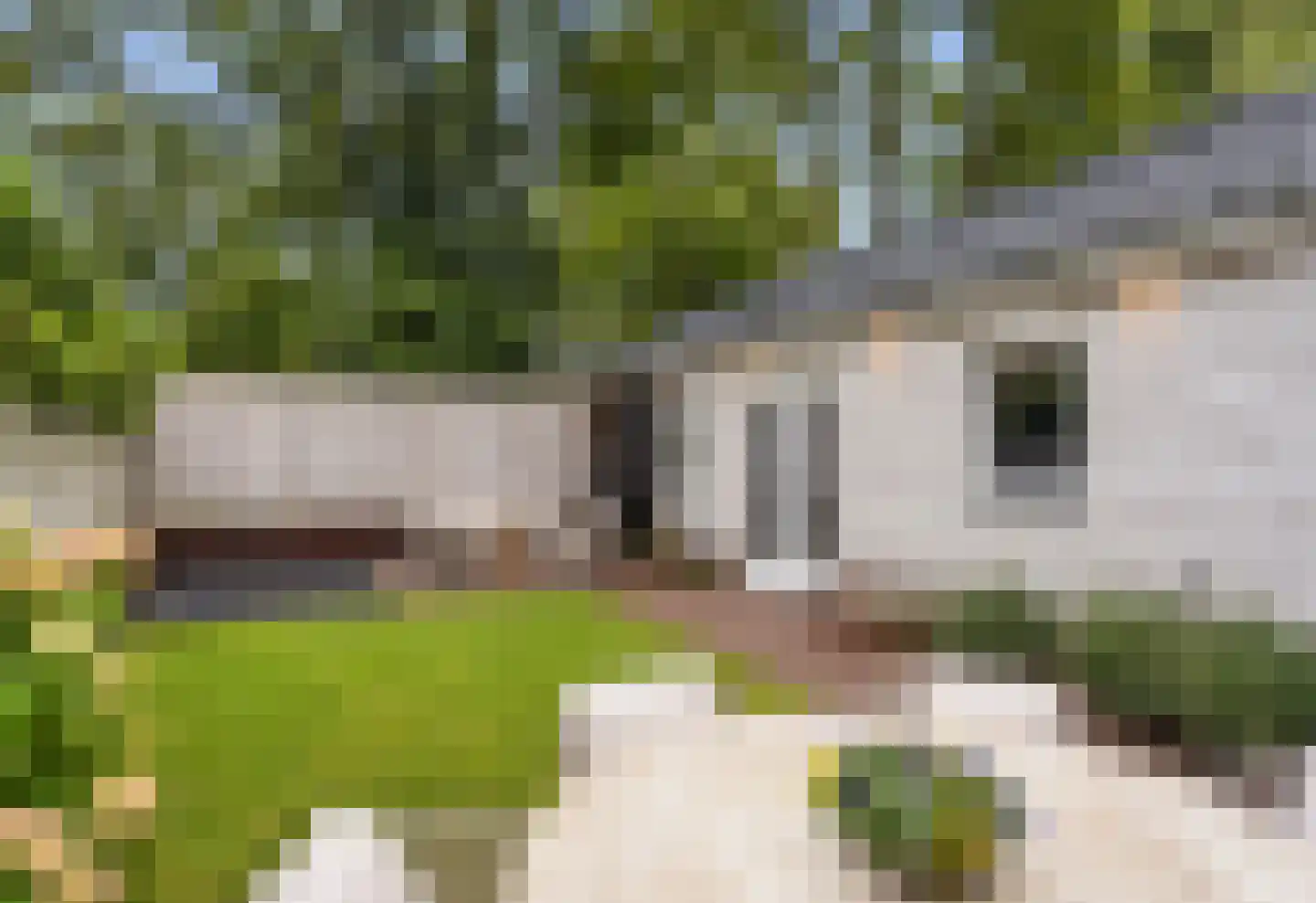 Laarweg 7 Bennekom thumbnail 36
