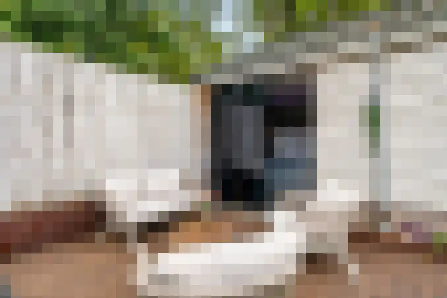 Laarweg 7 Bennekom thumbnail 37