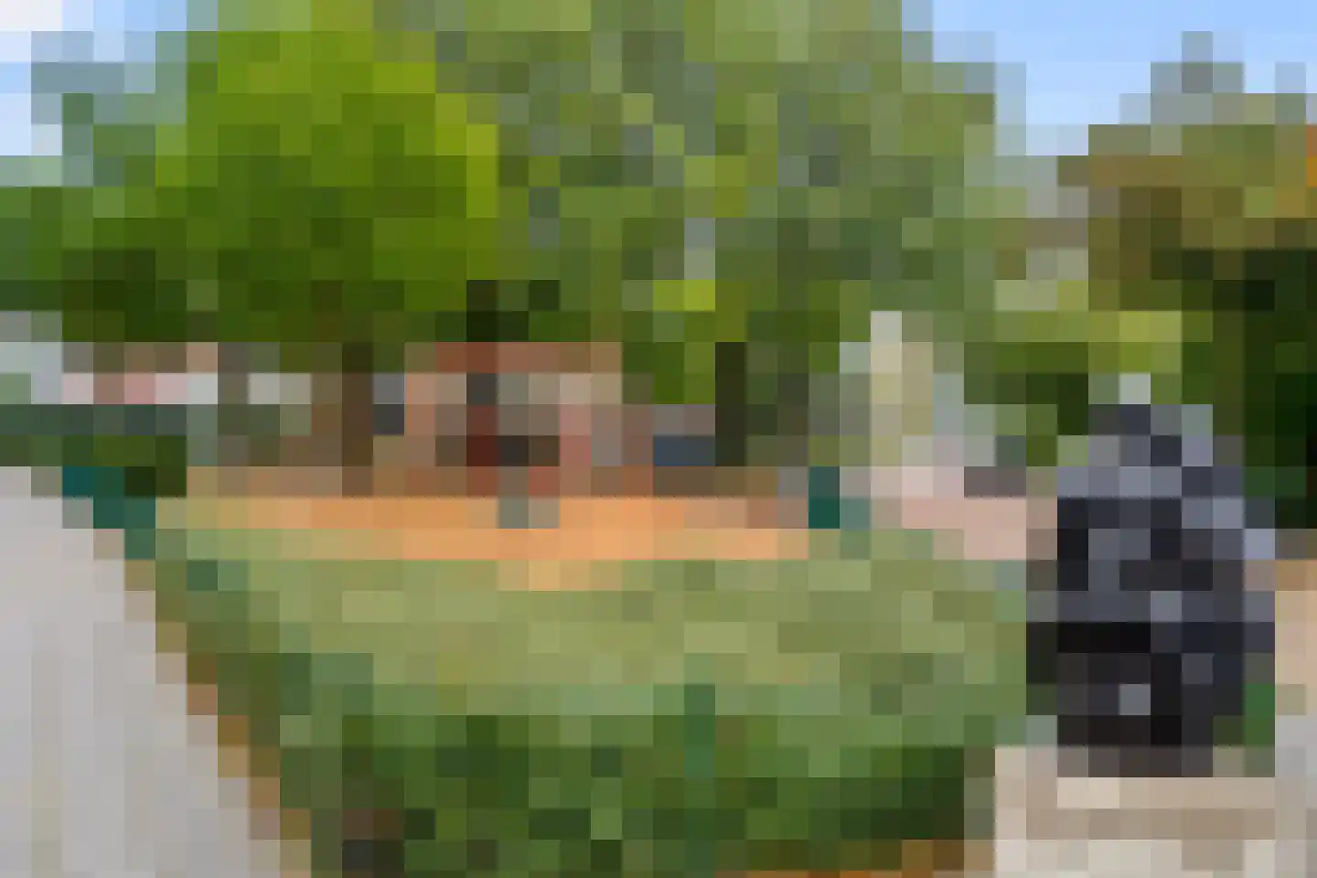Laarweg 7 Bennekom thumbnail 6