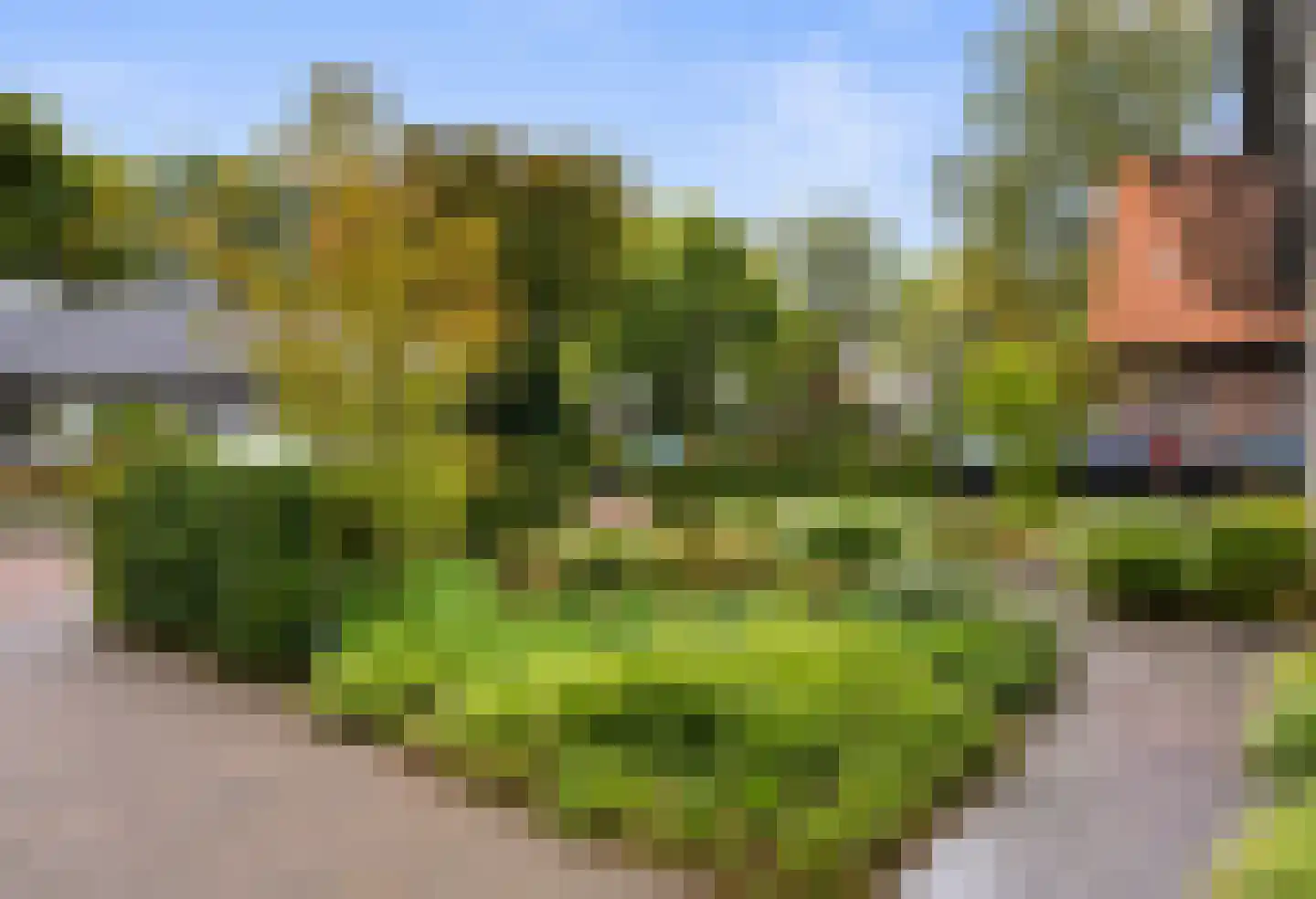 Laarweg 7 Bennekom thumbnail 7