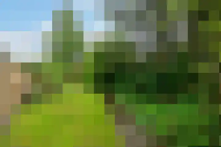 Laarweg 70 Bennekom thumbnail 4