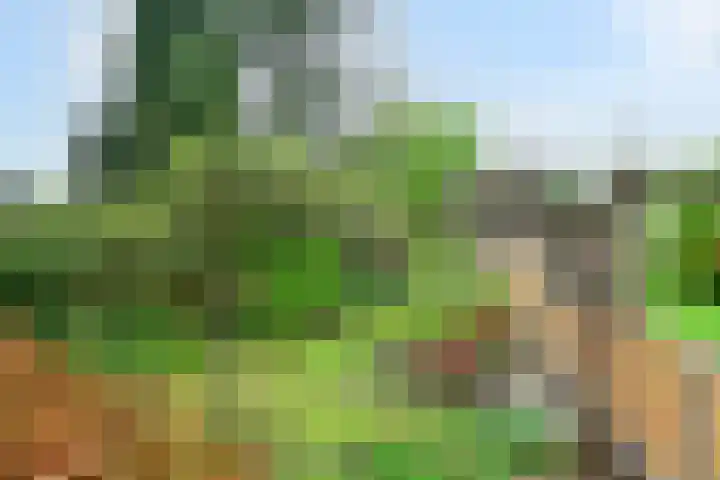 Laarweg 70 Bennekom thumbnail 5