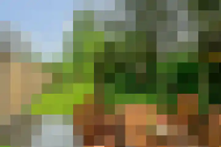 Laarweg 70 Bennekom thumbnail 6