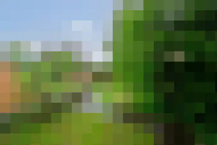 Laarweg 70 Bennekom thumbnail 7