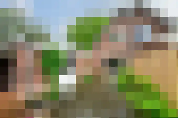 Laarweg 70 Bennekom thumbnail 8