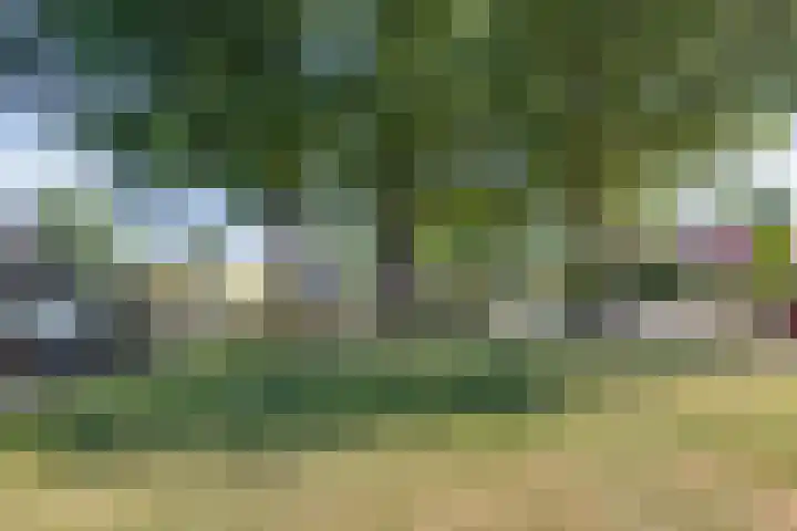 Laarweg 73 Bennekom thumbnail 41