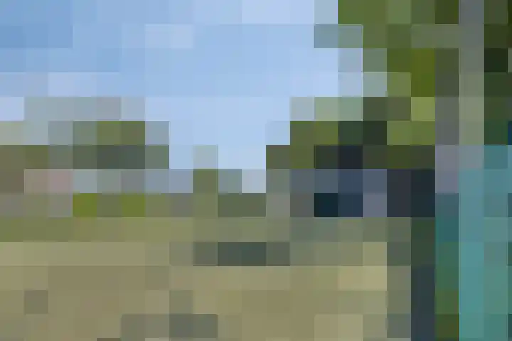 Laarweg 73 Bennekom thumbnail 43