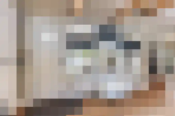 Laarweg 78 Harskamp thumbnail 12