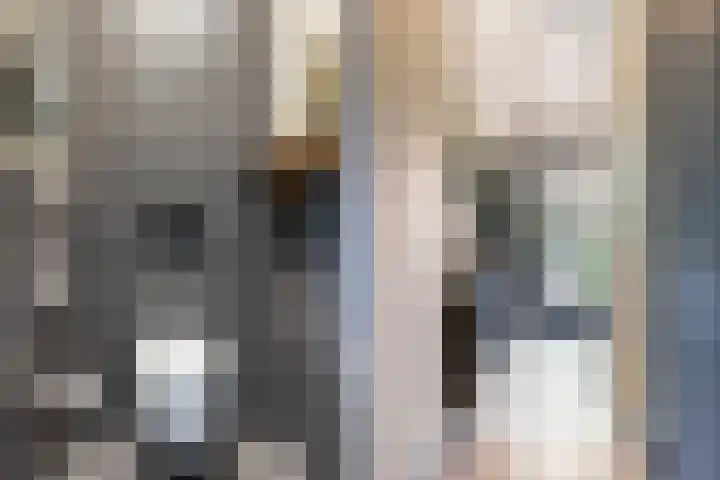 Laarweg 78 Harskamp thumbnail 13