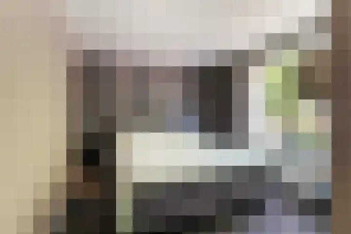 Laarweg 78 Harskamp thumbnail 19