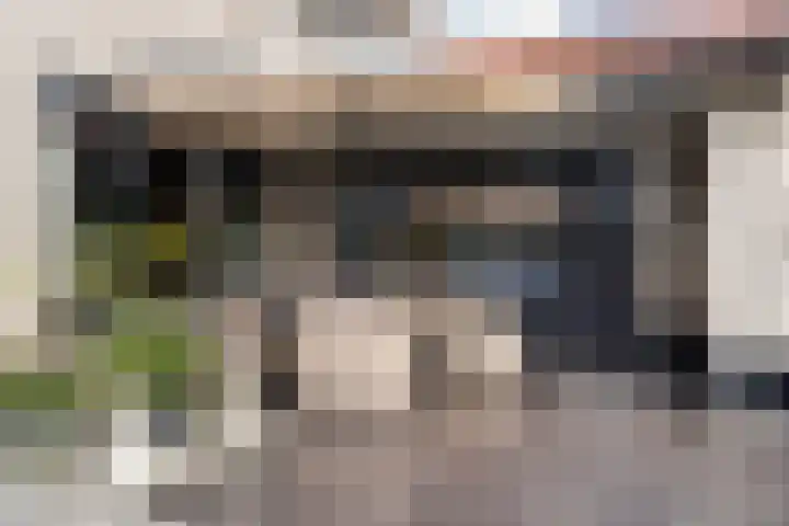 Laarweg 78 Harskamp thumbnail 28