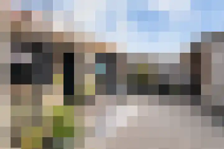 Laarweg 78 Harskamp thumbnail 29