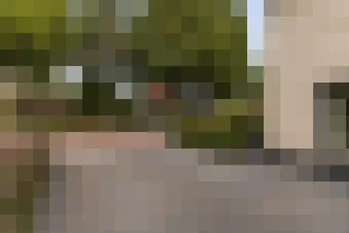 Laarweg 78 Harskamp thumbnail 32