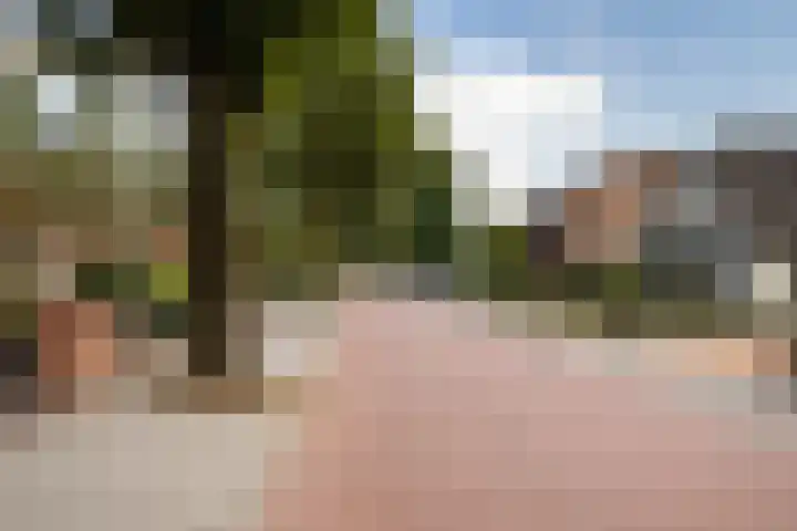 Laarweg 78 Harskamp thumbnail 33