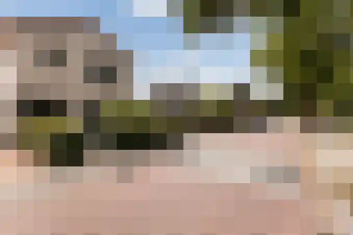 Laarweg 78 Harskamp thumbnail 34