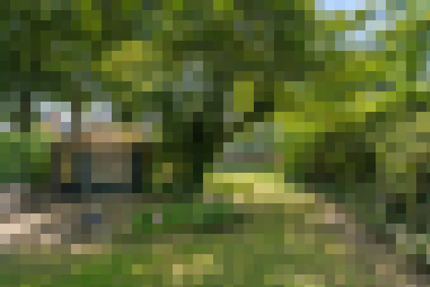 Laarweg 80 Bennekom thumbnail 12