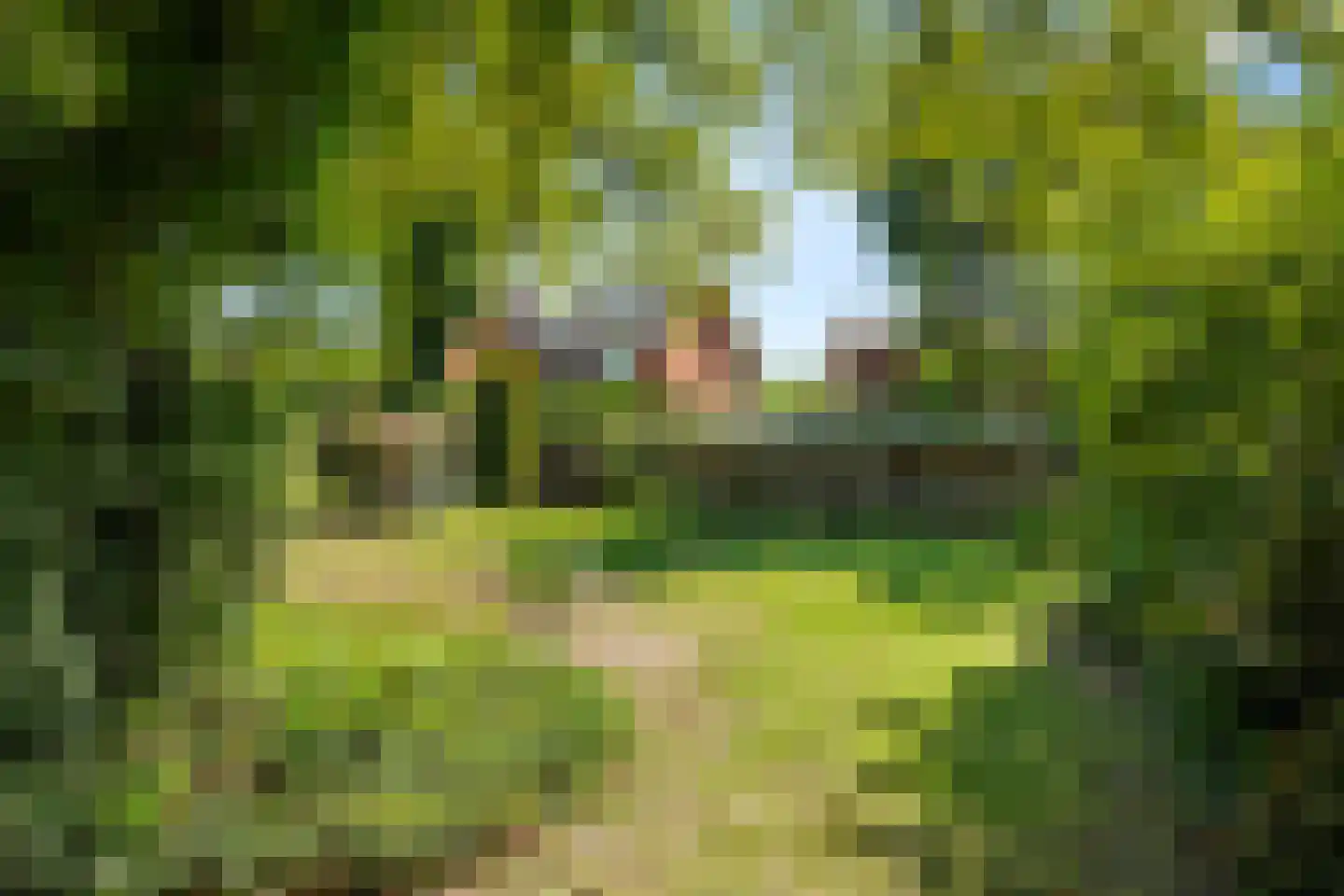 Laarweg 80 Bennekom thumbnail 14
