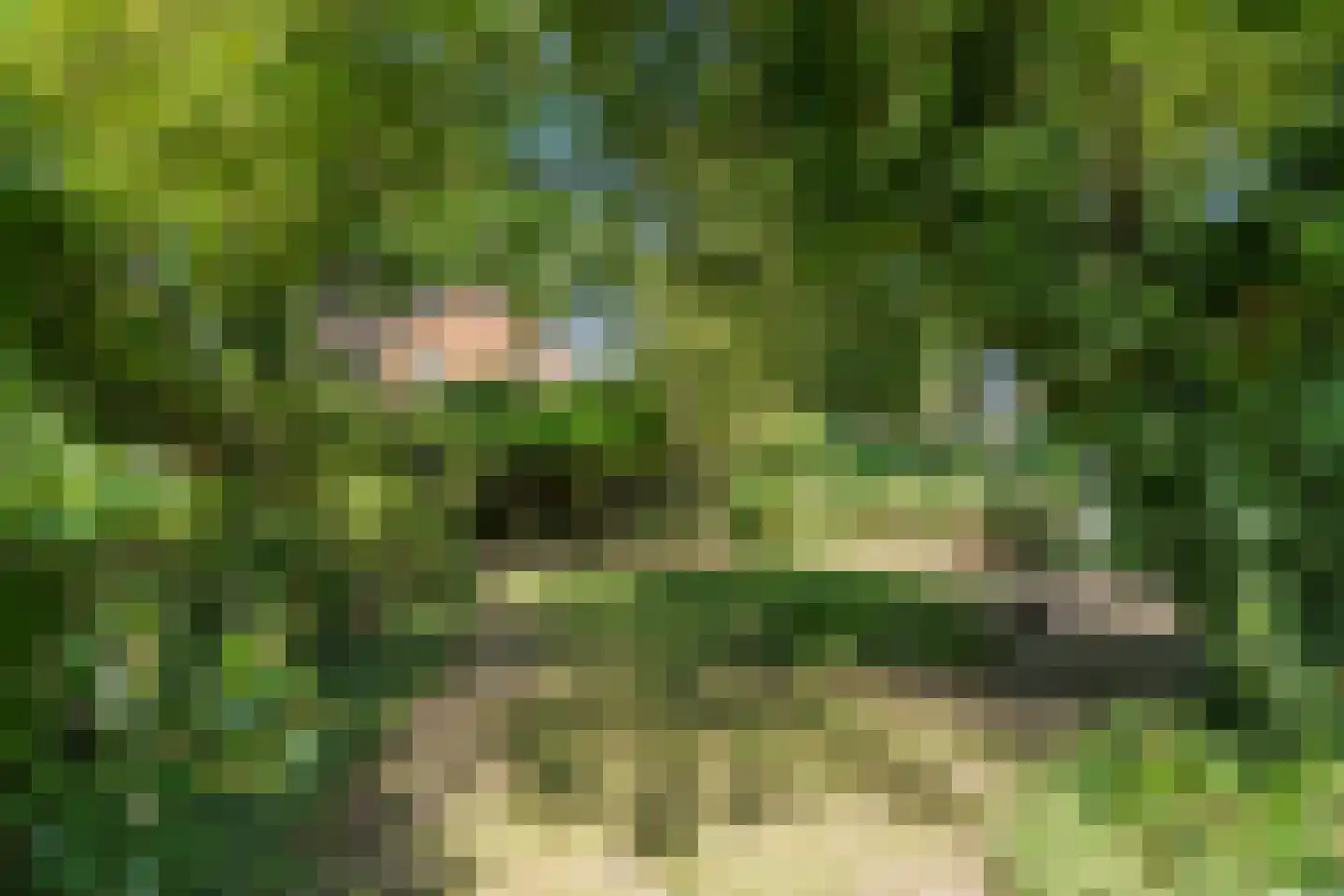 Laarweg 80 Bennekom thumbnail 17
