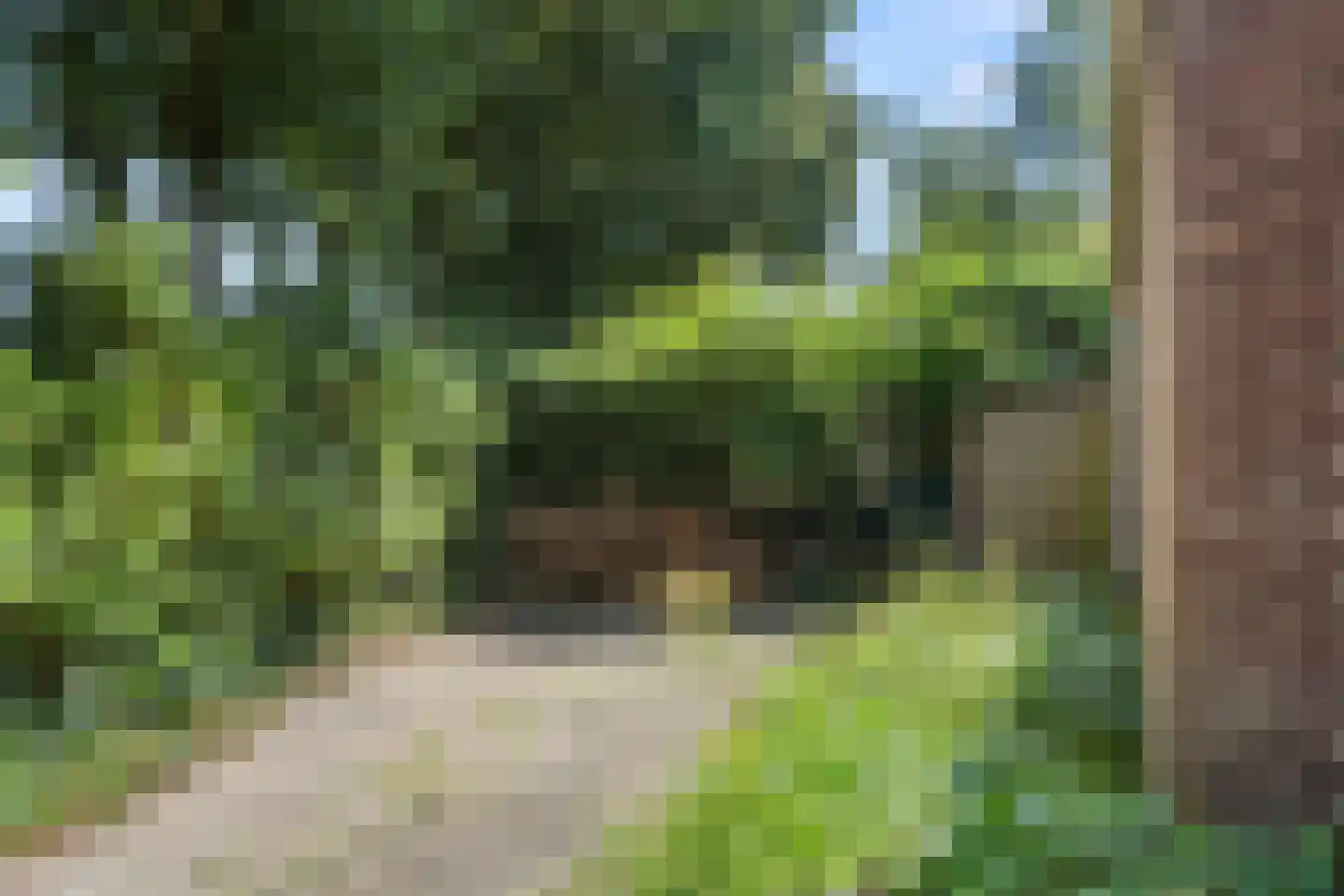 Laarweg 80 Bennekom thumbnail 4