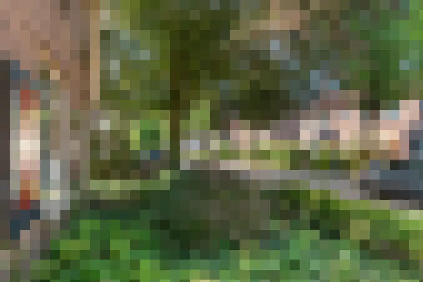 Laarweg 80 Bennekom thumbnail 6