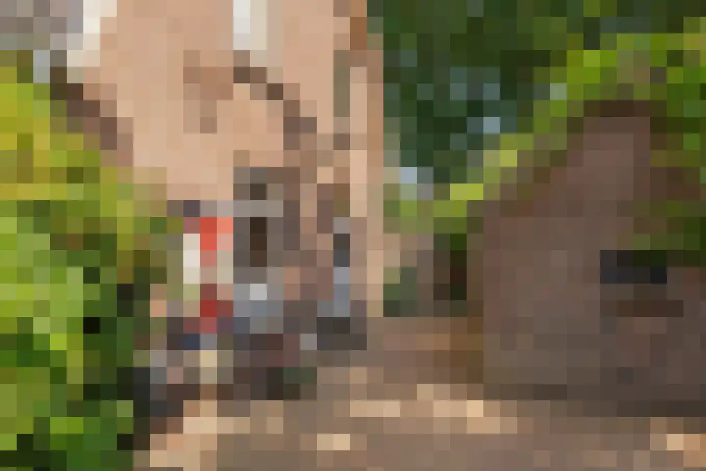 Laarweg 80 Bennekom thumbnail 9