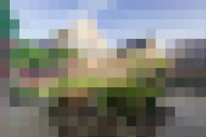 Laarweg 88 Bennekom thumbnail 24