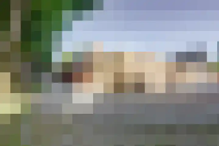 Laarweg 88 Bennekom thumbnail 28