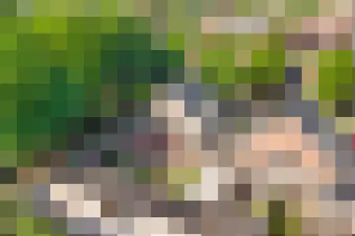 Laarweg 88 Bennekom thumbnail 29