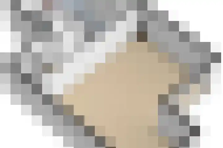 Laarweg 88 Bennekom thumbnail 37