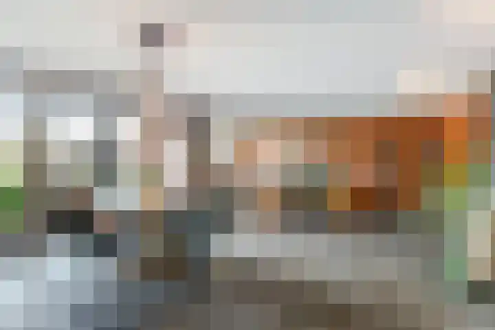 Laarweg 88 Bennekom thumbnail 4
