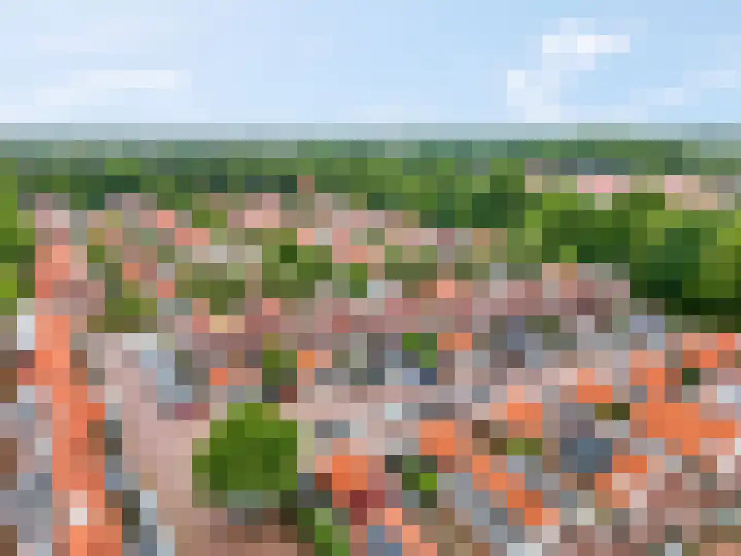 Laarwoud 18 Ede thumbnail 45