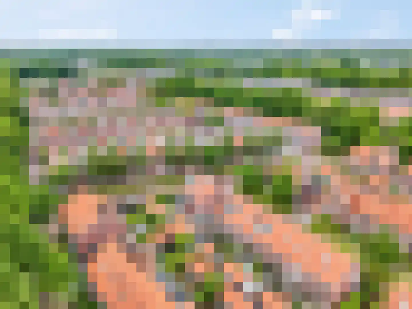 Laarwoud 18 Ede thumbnail 46