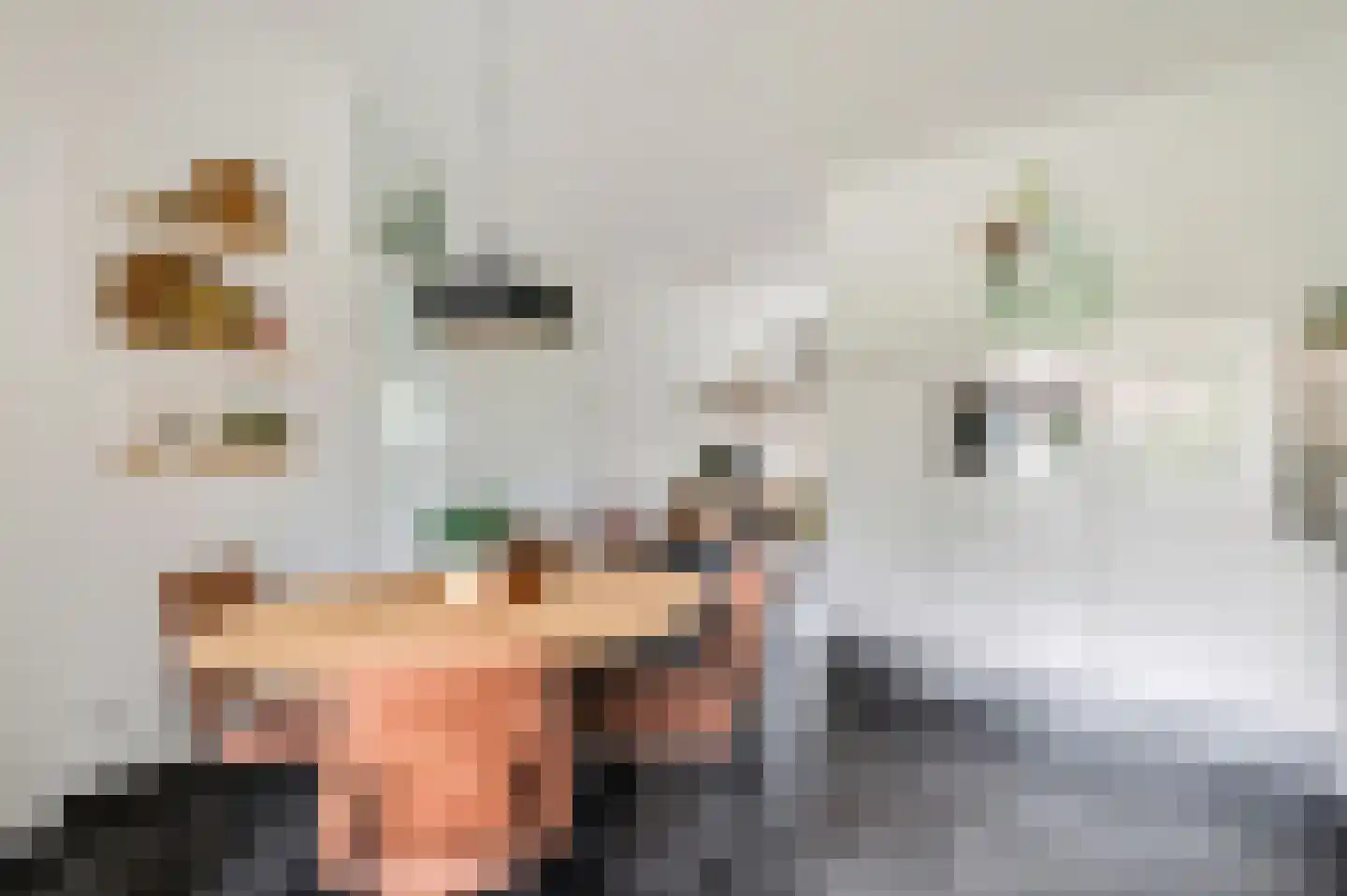 Laarwoud 18 Ede thumbnail 7