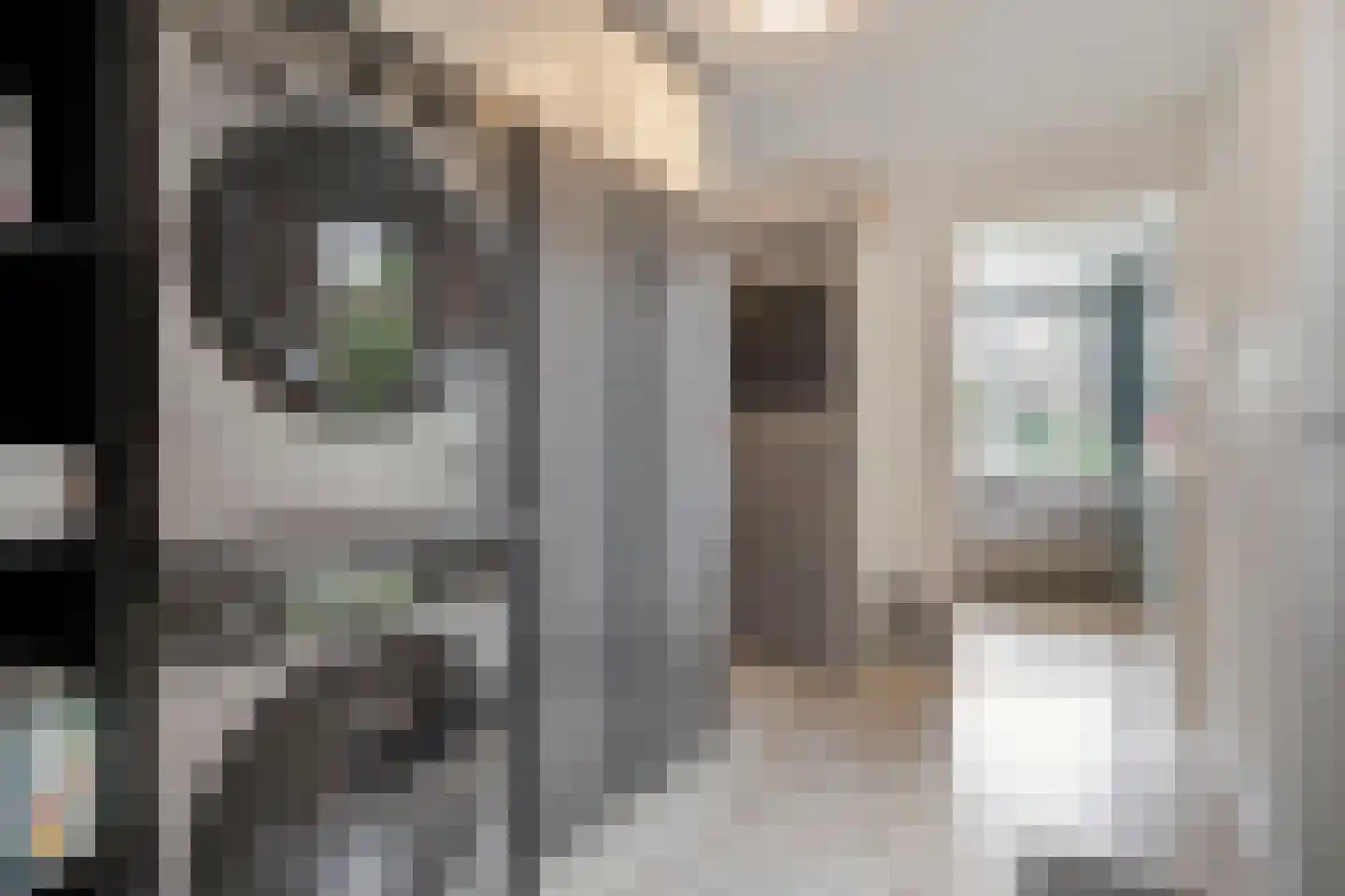 Laarwoud 23 Almelo thumbnail 16