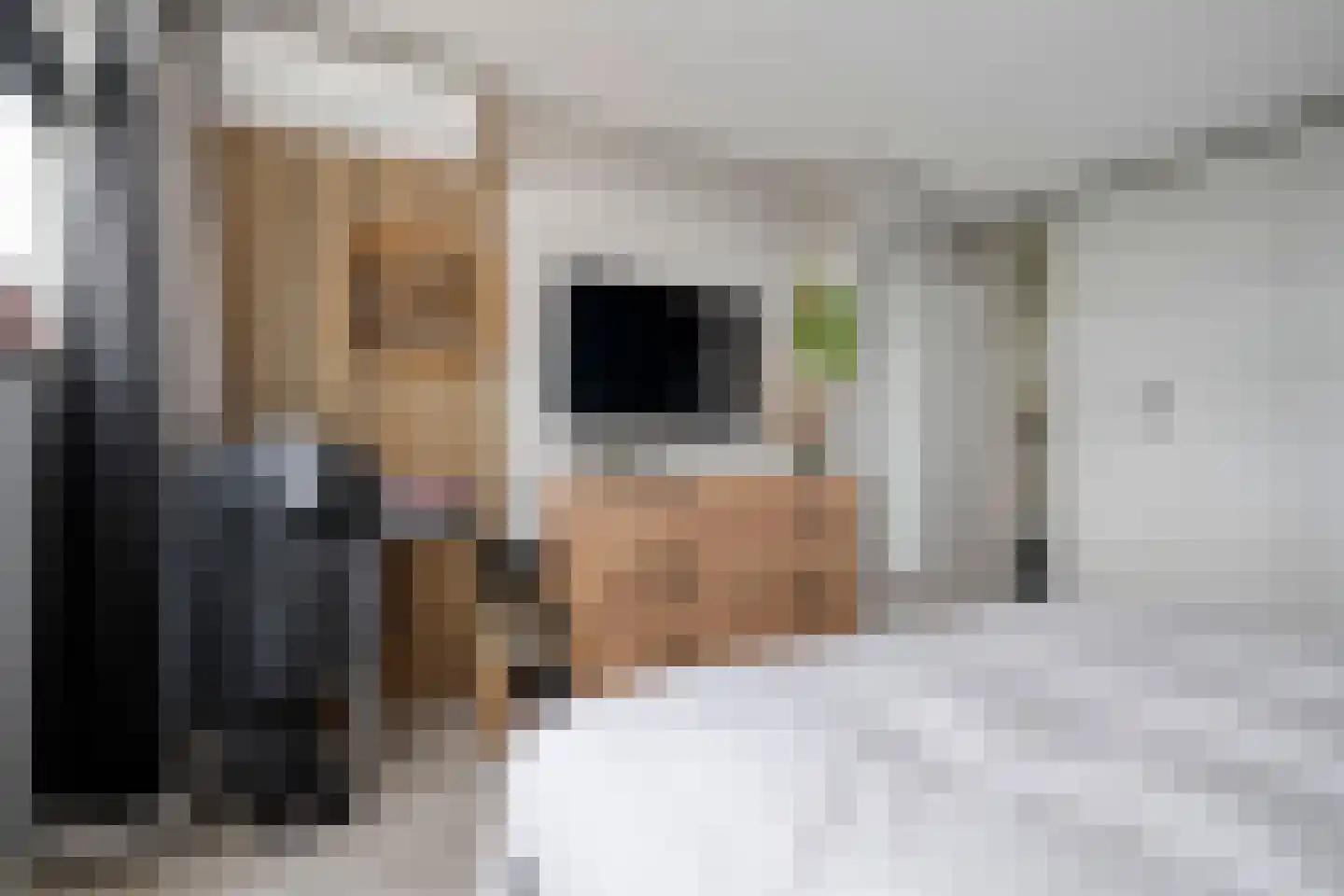 Laarwoud 23 Almelo thumbnail 22