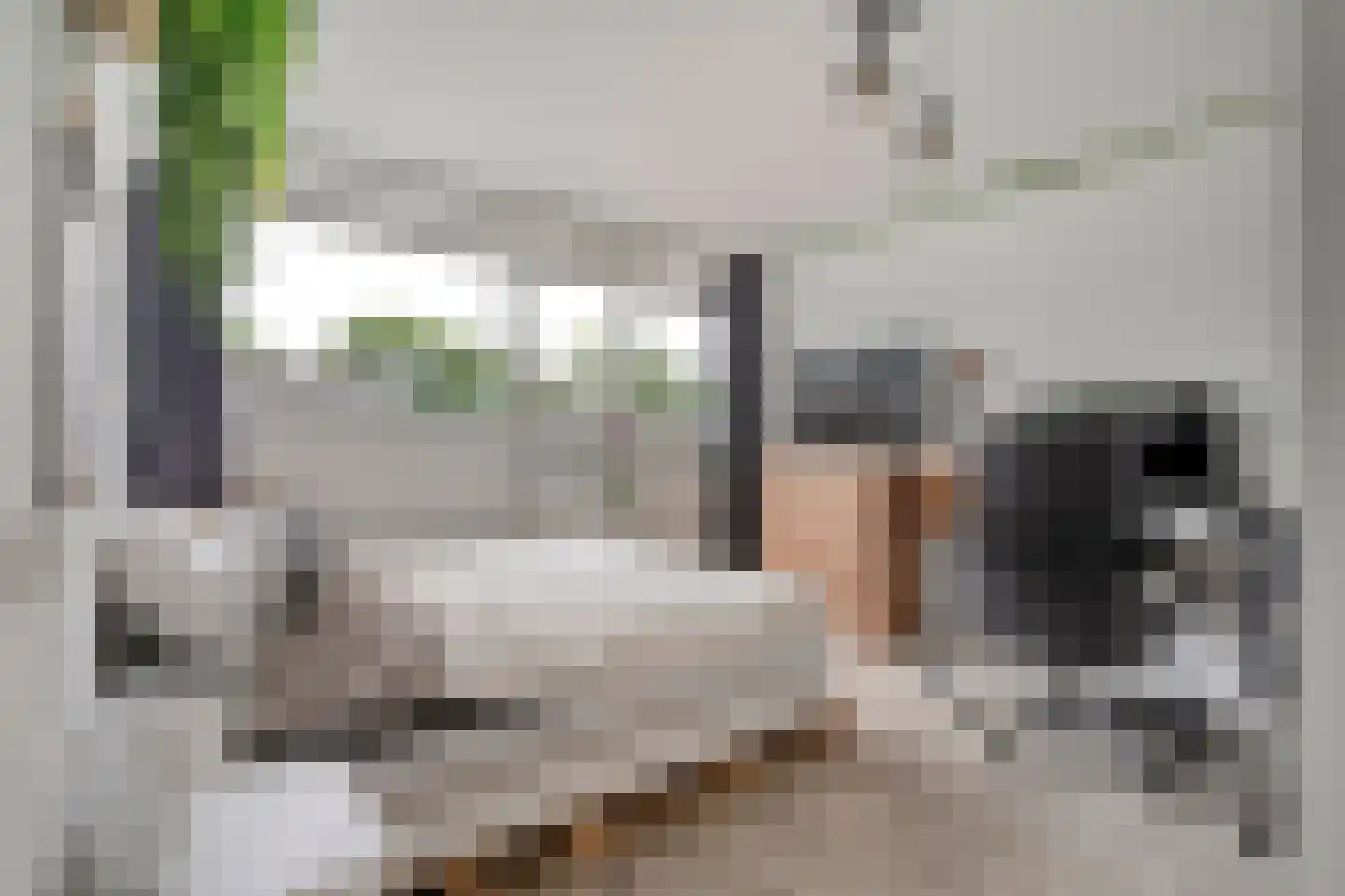 Laarwoud 23 Almelo thumbnail 23