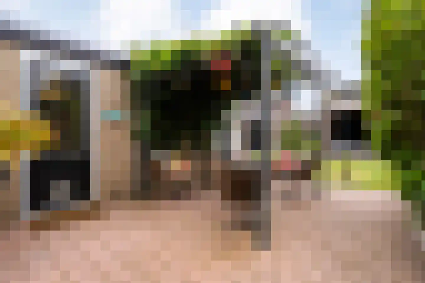 Laarwoud 23 Almelo thumbnail 28