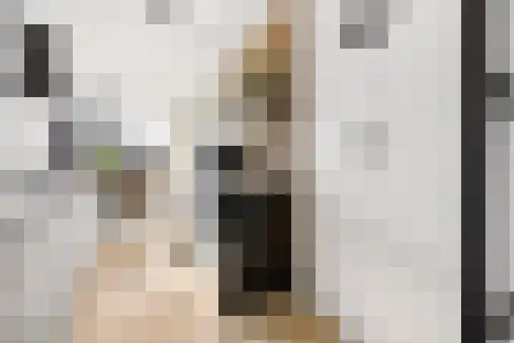 Laarwoud 3 Ede thumbnail 18