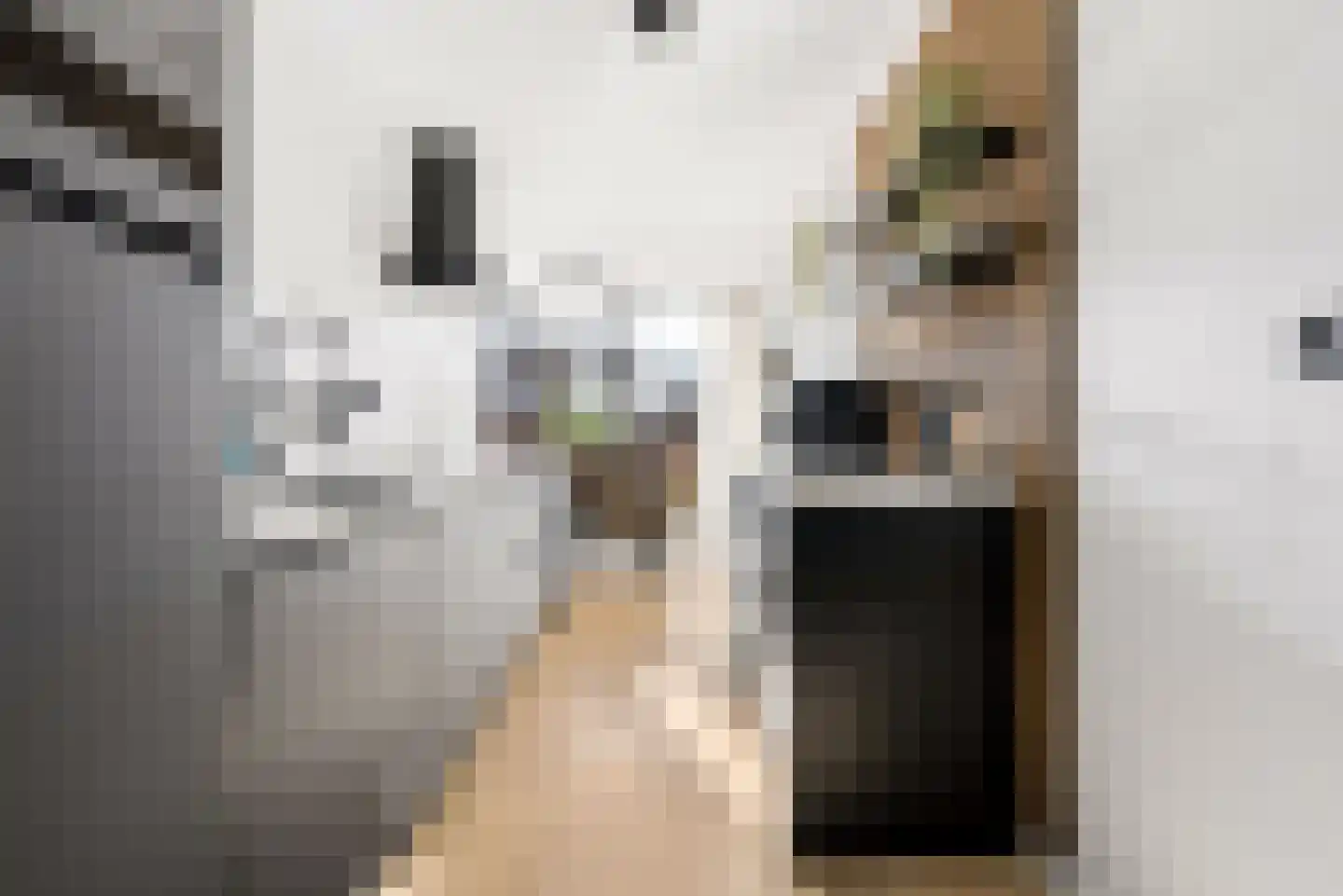 Laarwoud 3 Ede thumbnail 20