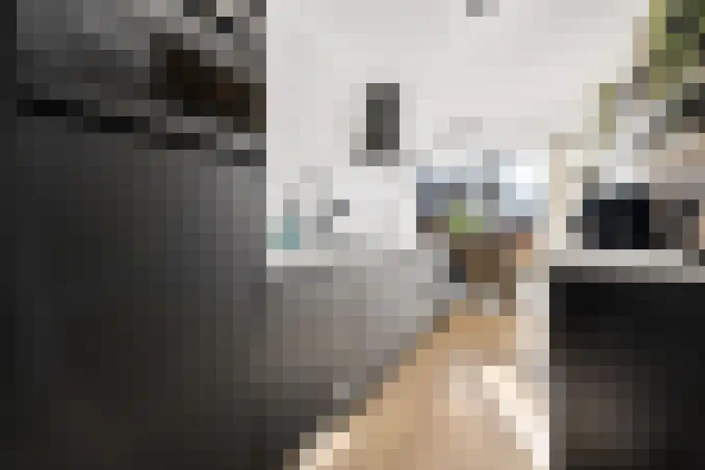 Laarwoud 3 Ede thumbnail 21