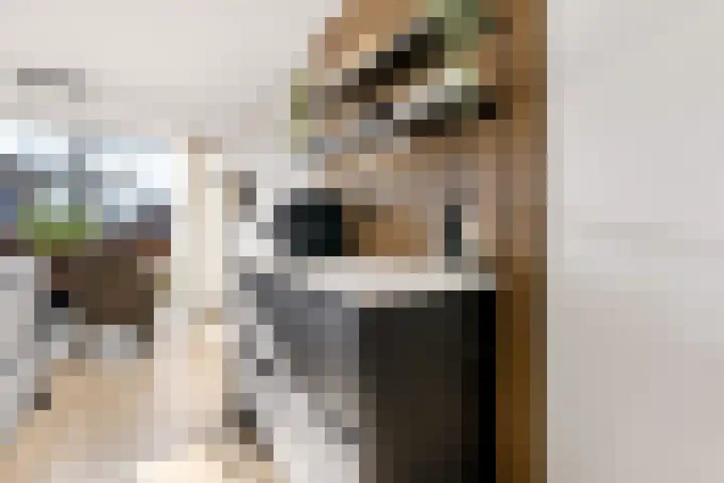 Laarwoud 3 Ede thumbnail 22
