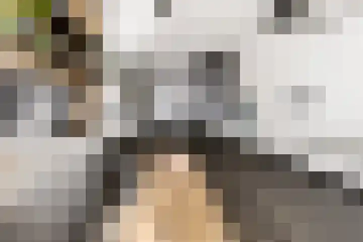 Laarwoud 3 Ede thumbnail 24