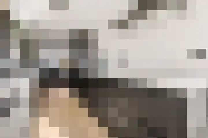 Laarwoud 3 Ede thumbnail 26