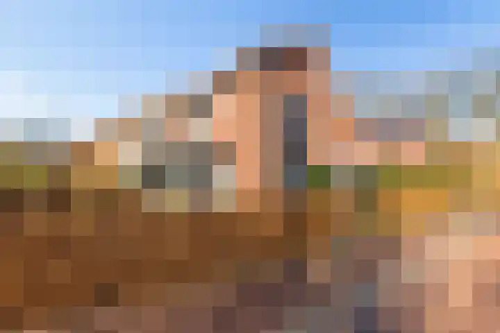 Laarwoud 3 Ede foto 3