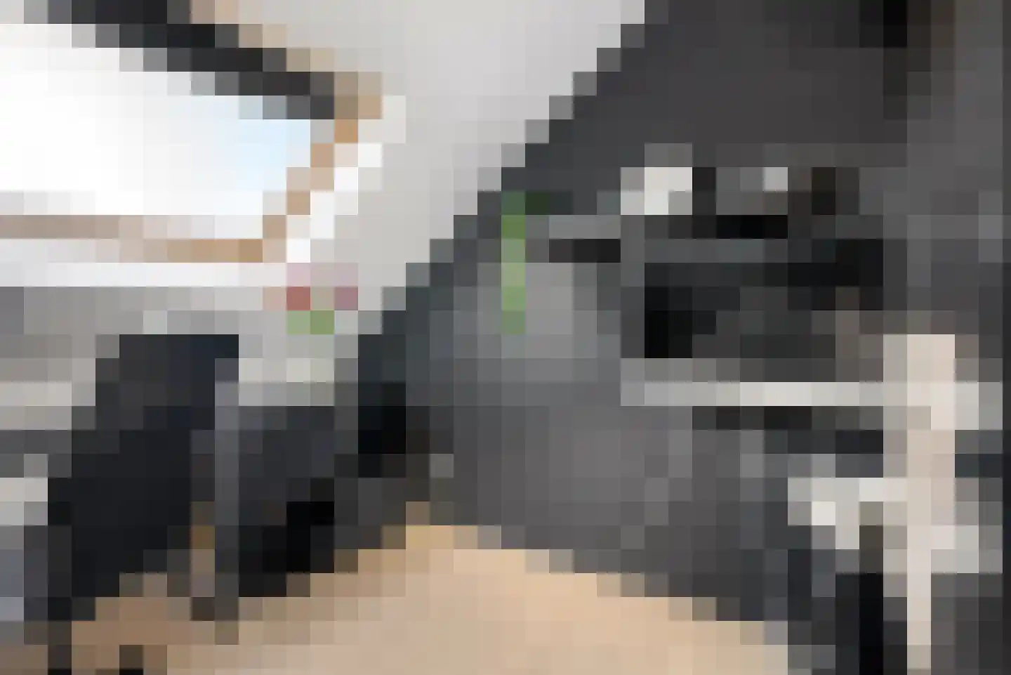 Laarwoud 3 Ede thumbnail 41