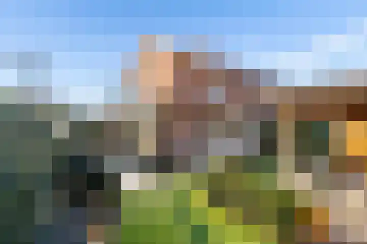 Laarwoud 3 Ede thumbnail 48